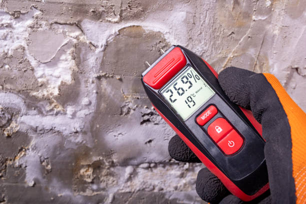 Best Crawl Space Mold Removal  in Haverhill, MA